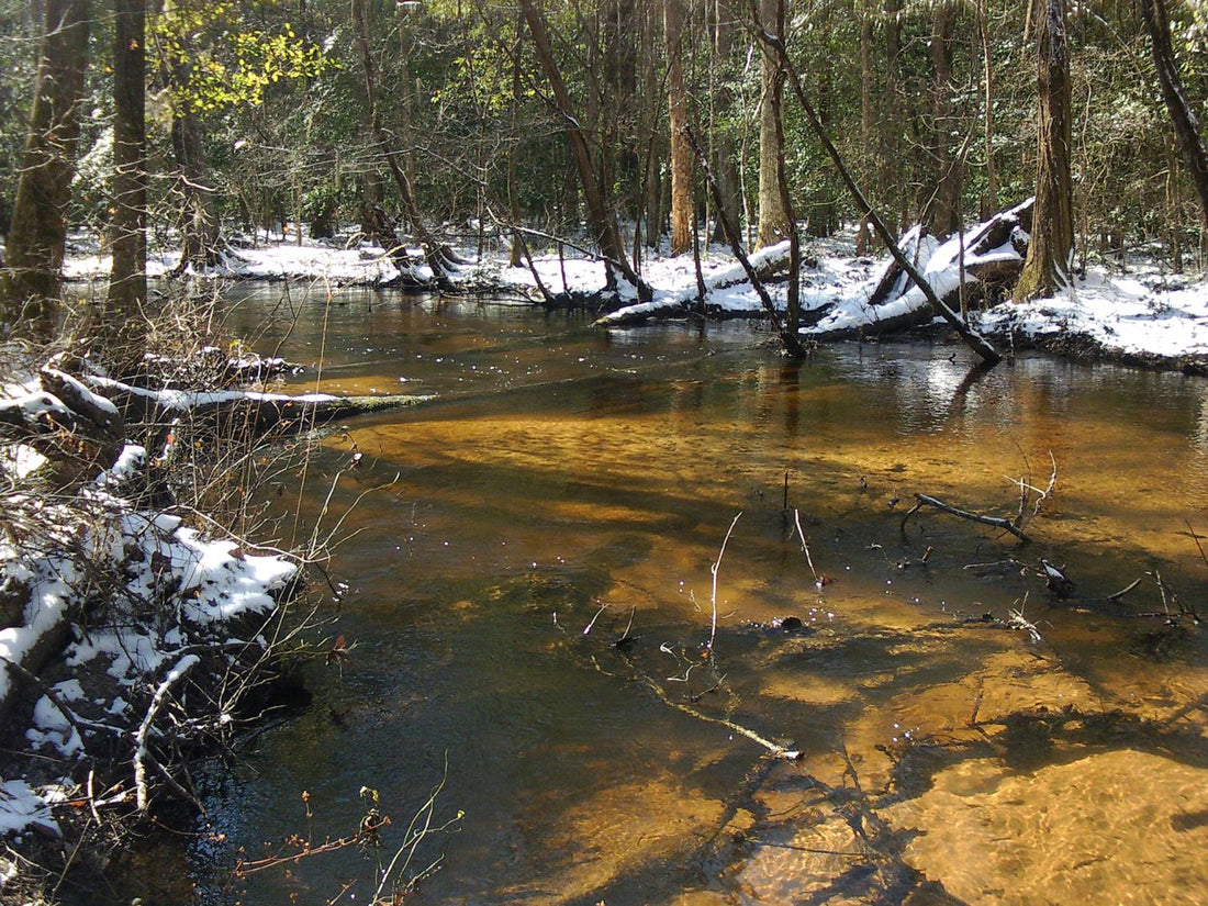 Toxic Environmental Contaminants Contribute to Antibiotic Resistance