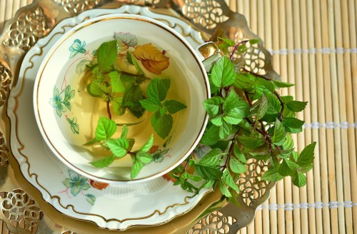 What is the Best Water for Brewing Tea?