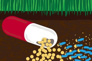 Hungry Antibiotic Loving Bacteria Could Help Rid Environment of Antibiotic Contaminants