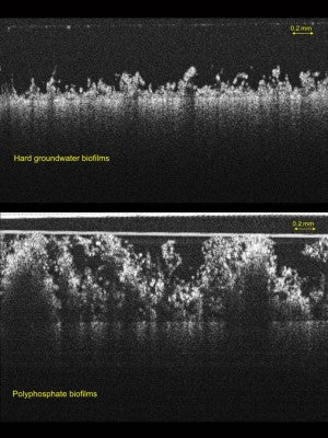 Chemical Additives that Prevent Pipes from Clogging may Release Harmful Bacteria