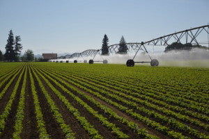 Study Suggests Strategies to Improve Water Resilience During Periods when Water in Scarce