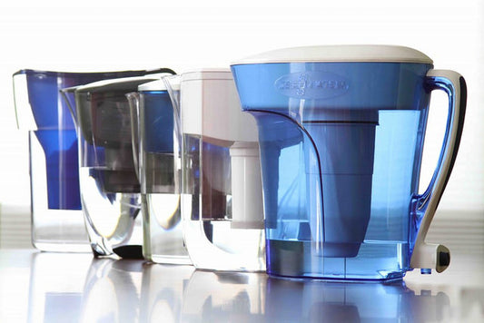 Buyer Beware: Not all Water Filters are Created Equal for Microcystin Removal