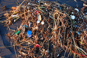 The Invisible Plague: Microplastics Now Contaminate Drinking Water