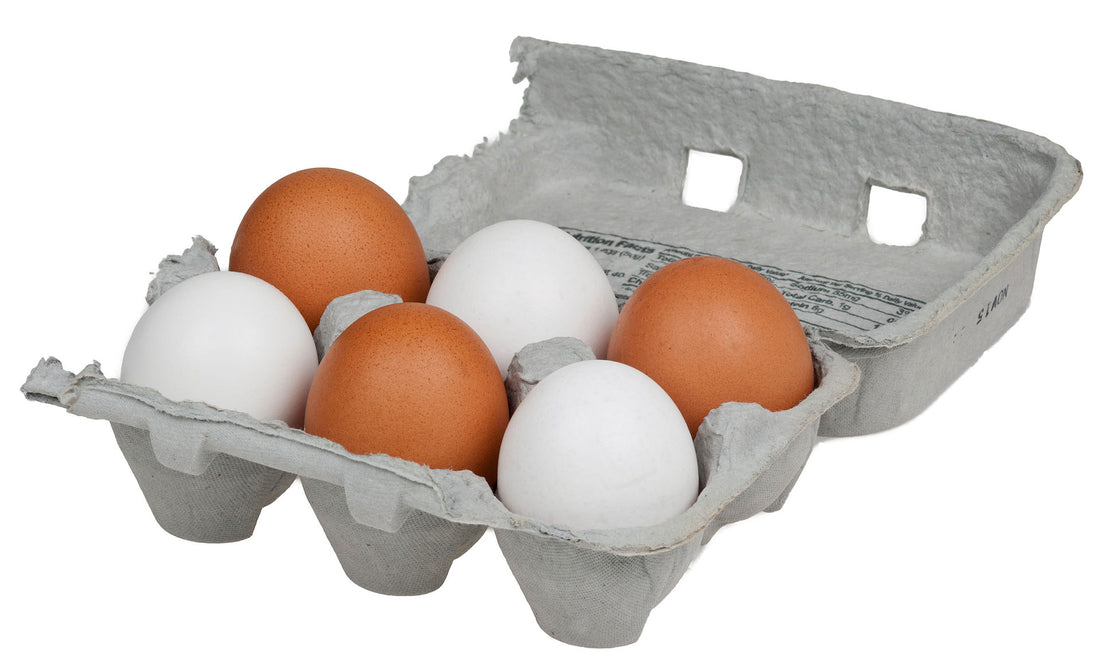 Exposure to BPA During Infancy May Increase Likelihood of Food Intolerance in Later Life