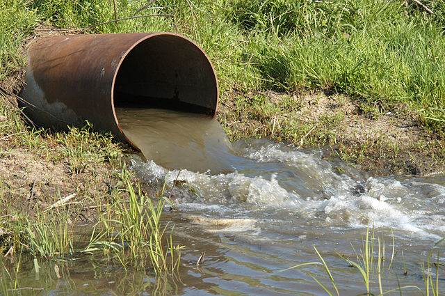 Wastewater Treatment Plants Harmful to River Ecosystems