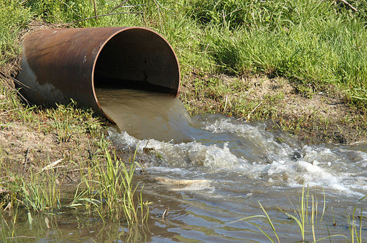 Wastewater Treatment Plants Harmful to River Ecosystems