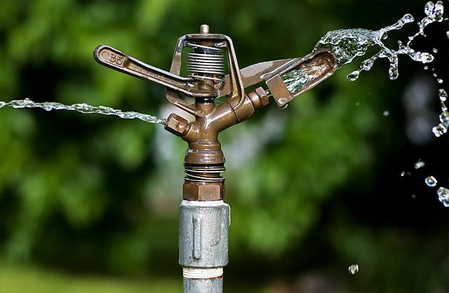 Is Lawn Irrigation Squandering our Fresh Water?