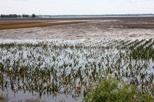 Climate Change Will Degrade Drinking Water Quality in the Midwest