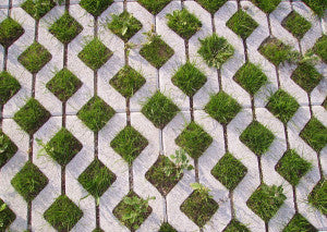 Improve Water Quality by Installing Permeable Paving & Pervious Driveways