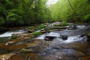 Streams Across the US Contain Potentially Harmful Mix of Chemical Toxins