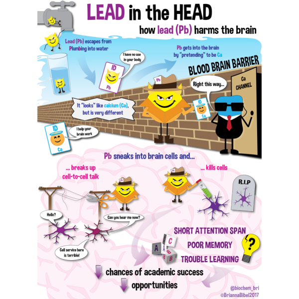 How Bad is Lead, and How do I Know if my Drinking Water is Contaminated?