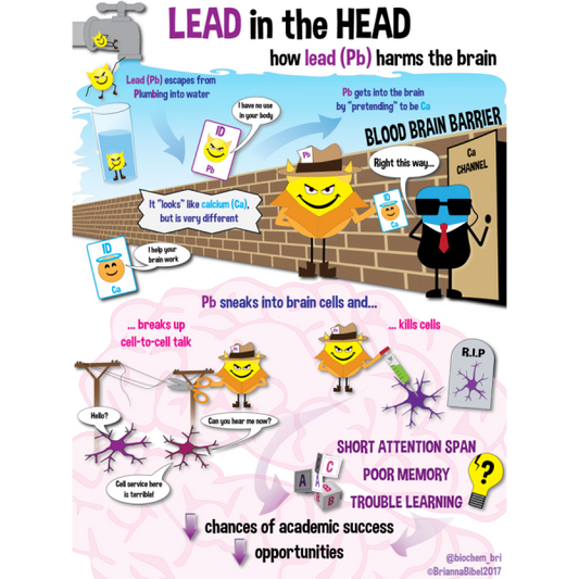 How Bad is Lead, and How do I Know if my Drinking Water is Contaminated?