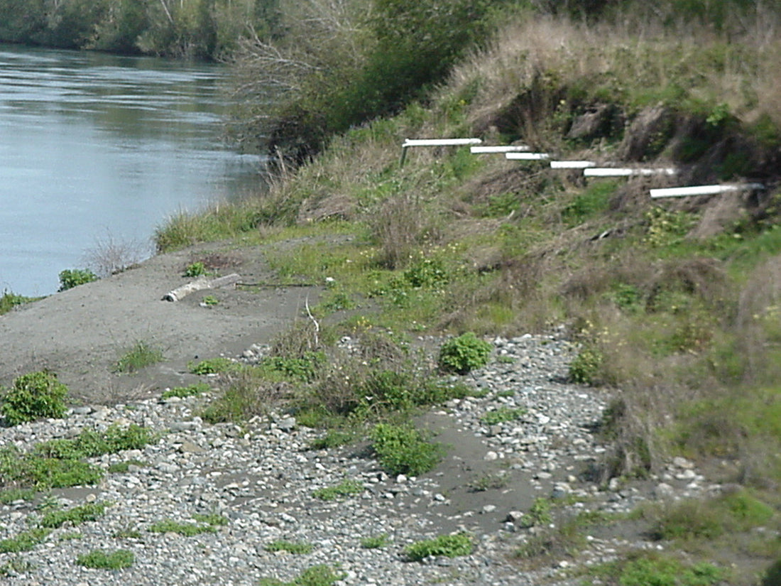 Are Septic Tanks Polluting US Waterways?