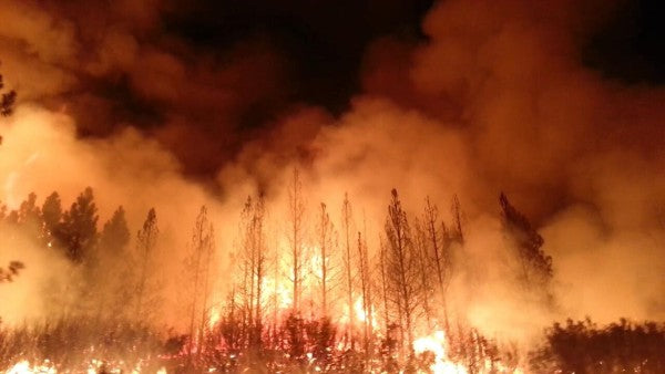 Intense Wildfires Impact Water Quality and Treatment Processes in Forested Watersheds