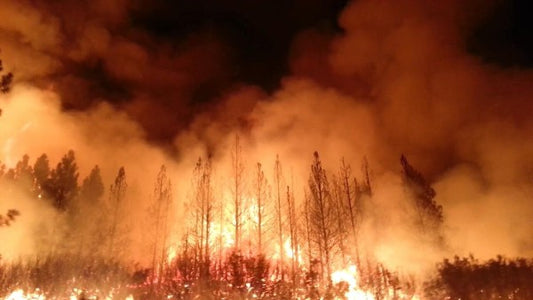 Intense Wildfires Impact Water Quality and Treatment Processes in Forested Watersheds