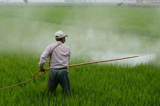 Is a Berkey Water Filter Effective in Removing Pesticides and Herbicides?