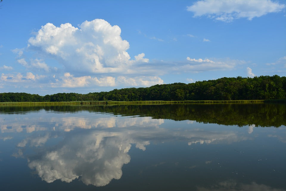 Clean Air = Clean Water - Clean Air Act credited for improving Chesapeake Bay Water Quality
