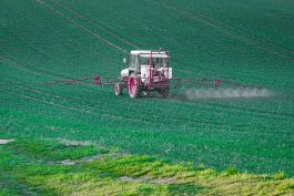 Pesticides: Dangerous and Prevalent in Drinking Water