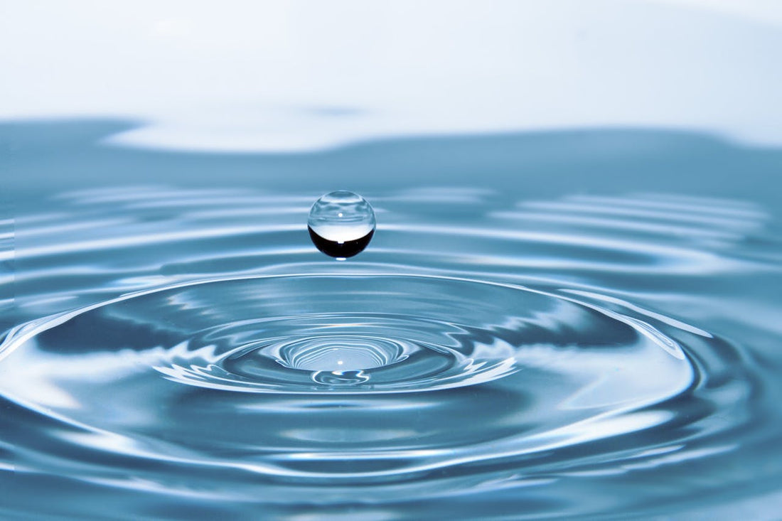 What is a Gravity-Fed Water Filter and How Does it Work?