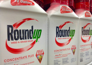 Safety Standards of Common Herbicide Chemical (glyphosate) Urgently Need to be Reviewed