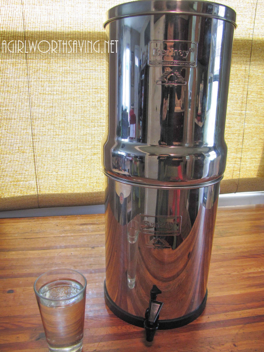 Royal Berkey Giveaway - 2 Weeks Left to Enter!