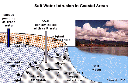 Study Finds Coastal Groundwater More Vulnerable to Water Draw-offs than Climate Change