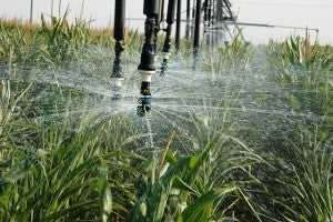 Blended Wastewater, An Alternative and Affordable Source for Drought Stricken California?