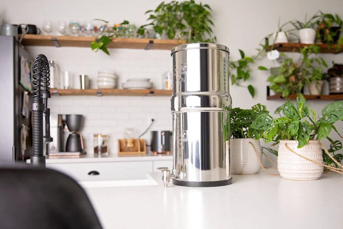 What Contaminants Does a Berkey Water Filter Remove?