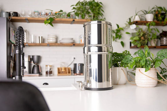 What Contaminants Does a Berkey Water Filter Remove?