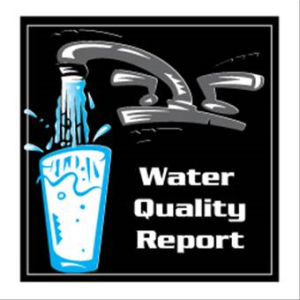 Where to Find the Water Quality Report for your City, and how to Interpret these Results