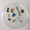 Wastewater Treatment Facilities Release Significant Amounts of Microplastics into Rivers