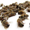 Insecticides Threaten US Freshwater Systems and Every Living Thing That Depends on Them