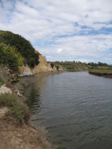 Many Californian Communities Depend on Contaminated Water Sources