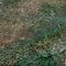 Groundwater Extraction is Pumping the Great Plains Dry