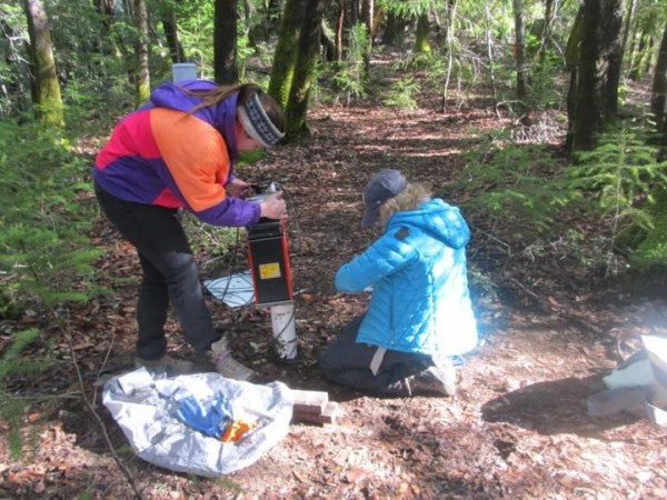 'Rock Moisture' Could Protect Forests from Drought