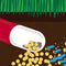 Hungry Antibiotic Loving Bacteria Could Help Rid Environment of Antibiotic Contaminants