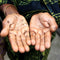 Scientists Develop a Smartphone Accessory that can Detect Arsenic in Drinking Water