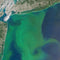 Can We Combat Climate Change without Compromising Water Quality