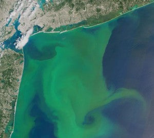 Can We Combat Climate Change without Compromising Water Quality