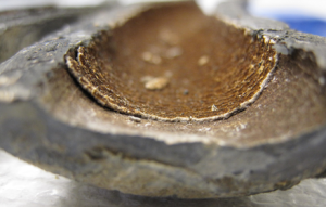 Gaps in Flint's Water Pipes Confirm Cause of Water Crisis