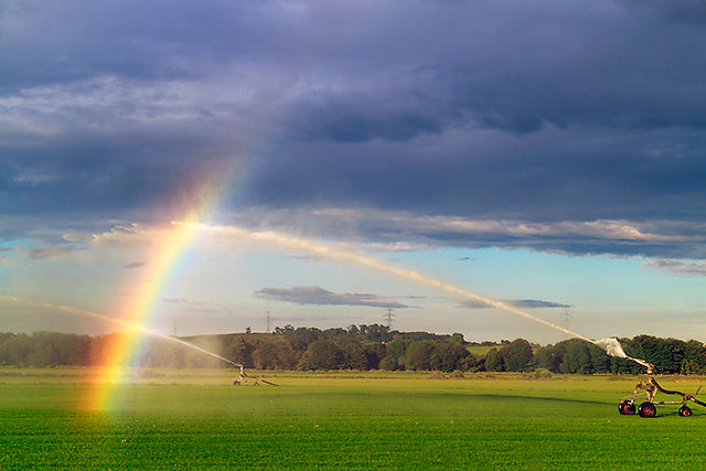 Trade-offs Between Water for Food and for Curbing Climate Change