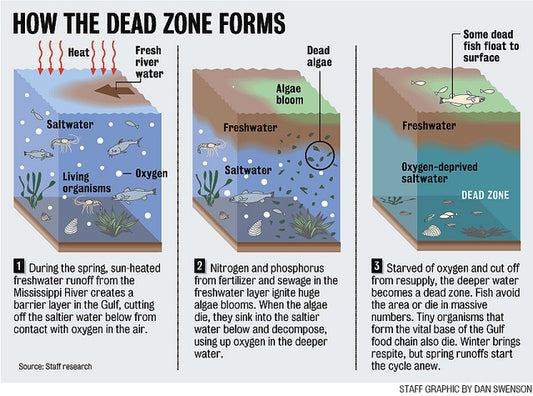 Getting the Balance Right: Managing Watershed Quality to Prevent Coastal Dead Zones