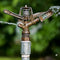 Is Lawn Irrigation Squandering our Fresh Water?