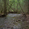 Well Water Containing Artificial Sweeteners Likely Contaminated by Septic Wastewater