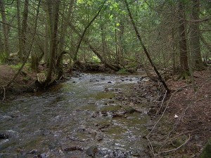 Well Water Containing Artificial Sweeteners Likely Contaminated by Septic Wastewater 