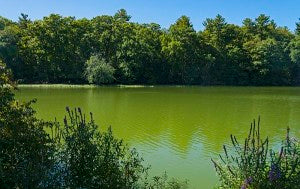 Farming Runoff Promotes Drinking Water Contamination