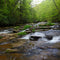Streams Across the US Contain Potentially Harmful Mix of Chemical Toxins