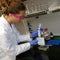 Chlorine Treatment of Wastewater May Contribute to Antibiotic Resistance