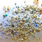 Ban Plastic Microbeads in Order to Protect Aquatic Wildlife