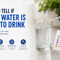 Is Your Water Safe to Drink? How to Test It and What to Do Next